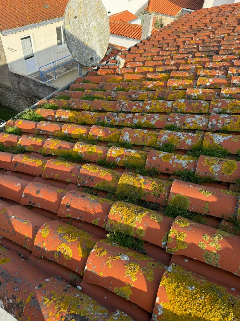 Toiture mousse — tuiles canal avant nettoyage — L'Atelier des Toits Paris